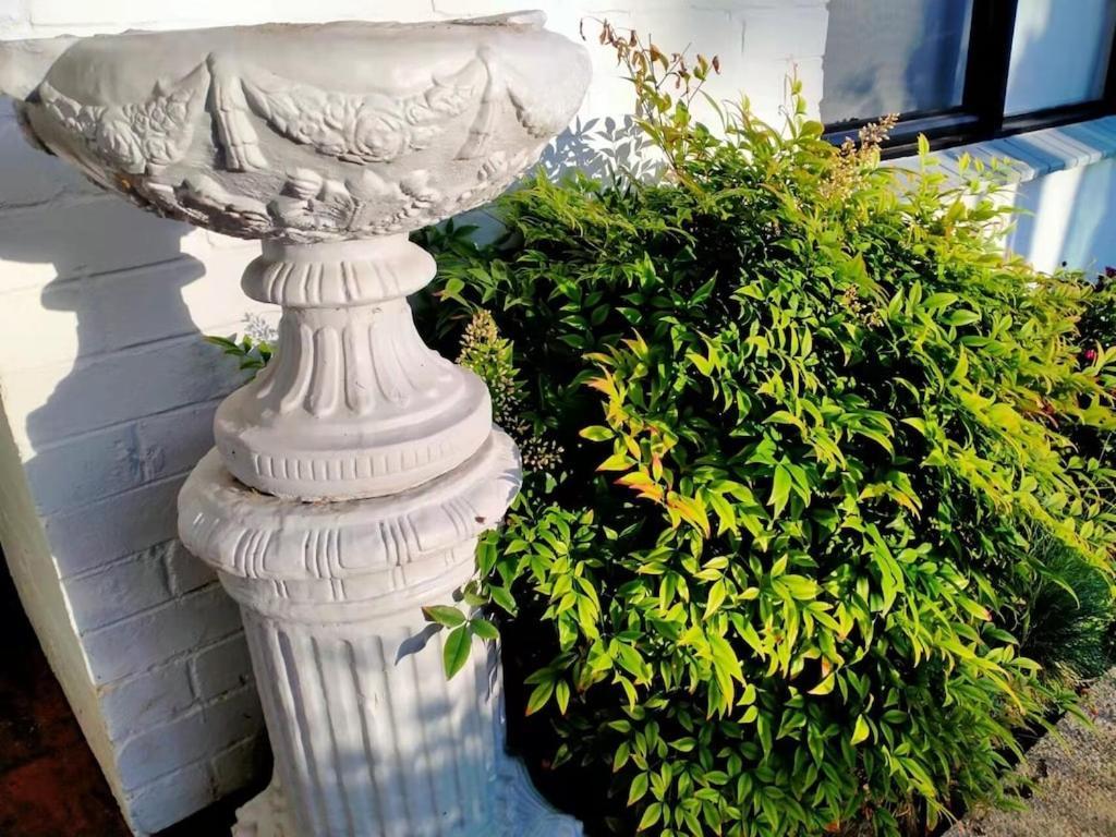 Quiet Burrow In Mornington Center Vila Exterior foto